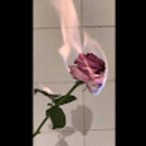 Meet your Posher, Jazmine